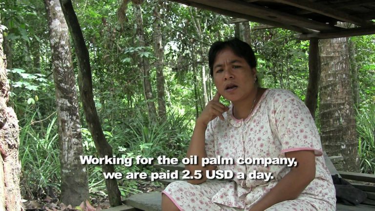 A Legacy of Destruction- Cargill’s plantation in Borneo