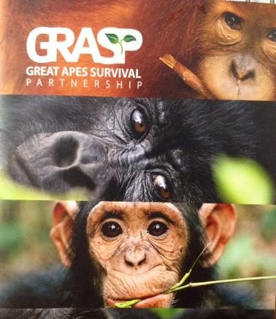 Foto : Capture cover majalah GREAT APES SURVIVAL