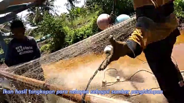 Cerita Nelayan Sungai Jawi