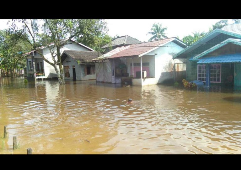 Hampir Sepekan Banjir Rendam Beberapa Desa di Kecamatan Sungai Laur