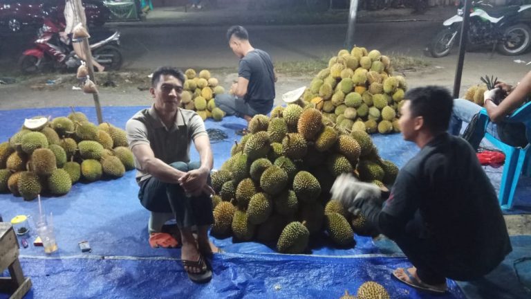 Minum Air Garam di Kulit Durian Sebagai Warisan Tradisi yang Bisa Menjadi Wisata Buah di Ketapang