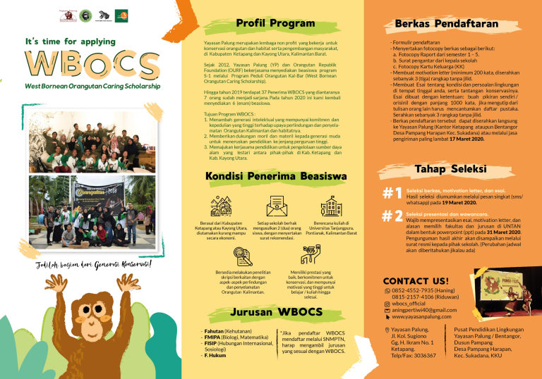 Yayasan Palung Siapkan 6 Beasiswa Peduli Orangutan Kalimantan, Ini Syarat dan Ketentuannya