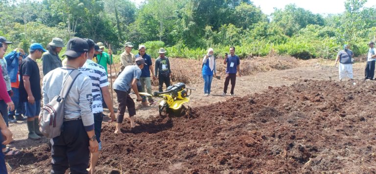 BRG Adakan Sekolah Lapang Bagi Petani Gambut untuk Kelola Lahan Tanpa Bakar ﻿