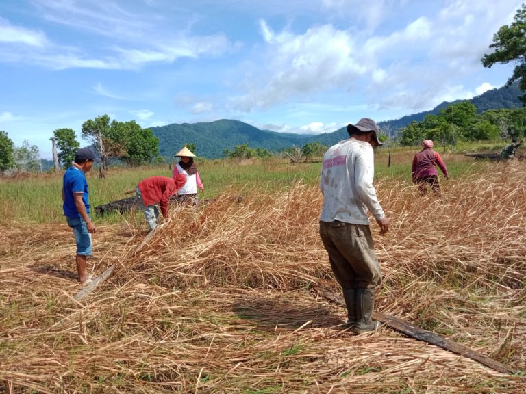 Memanfaatkan Lahan Kosong untuk Bercocok Tanam