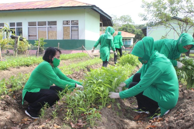 Kebun Skala Rumah Tangga Persit Cabang XLVII Kodim 1203.