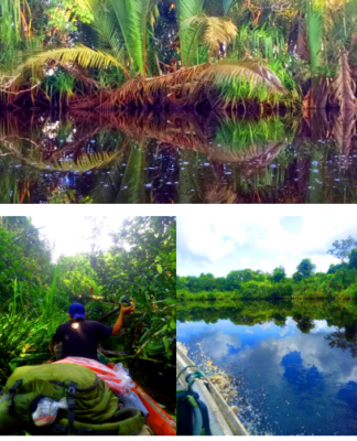 Foto Rawa Gambut; Blackwater river di rawa gambut. (Foto : IST/ Gunawan Wibisono/YP).
