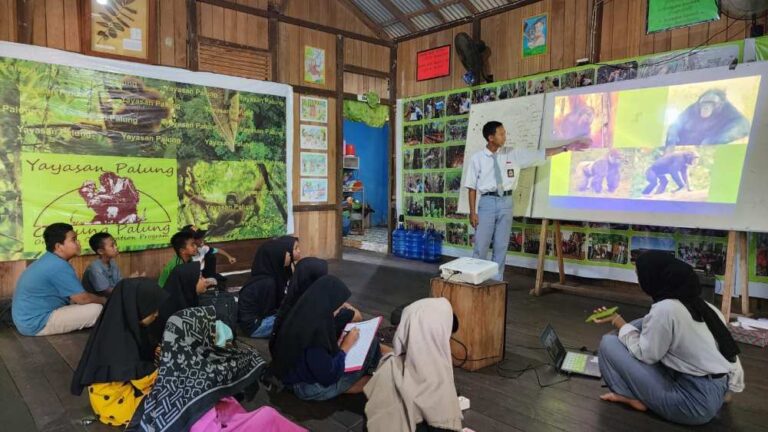 Merayakan Hari Orangutan Sedunia 2023 dengan Berbagai Cara sebagai Bentuk Cinta untuk Orangutan