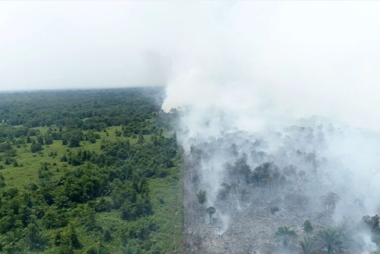 Karhutla, Akibat Ulah Segelintir Orang Merugikan Orang Banyak