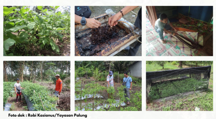 YP Lakukan Monitoring KUPS di Desa Penjalaan dan Rantau Panjang
